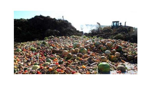 Immagine: Perché il buon cibo non finisca tra i rifiuti. 2013 anno della lotta allo spreco
