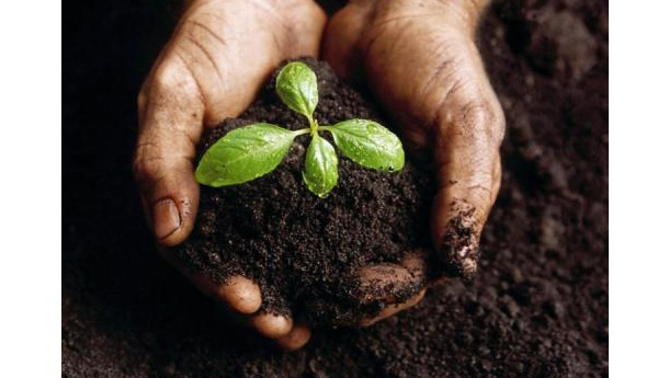 Immagine: Rifiuti organici, nel 2010 compost “made in Turin”