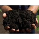 Immagine: Foggia, impianto compostaggio a Manfredonia. 3 milioni di euro dalla Regione Puglia