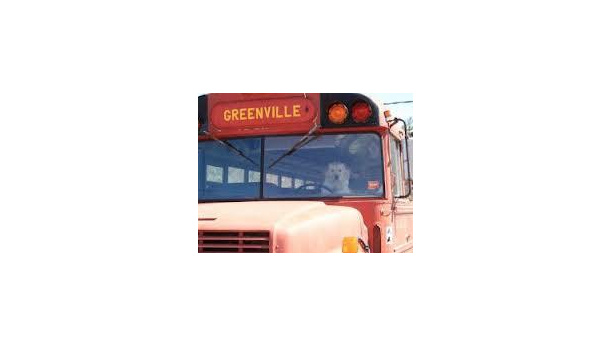 Immagine: DomenicAspasso milanese: sui mezzi pubblici cani e gatti gratis