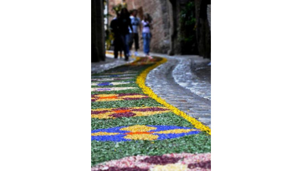 Immagine: Puglia, tre bandi per l’educazione ambientale. La regione stanzia 600 mila euro | File