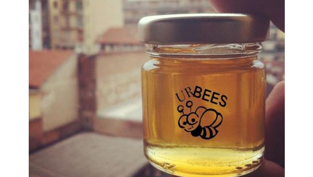 Immagine: UrBEES: api in città, sentinelle contro l’inquinamento