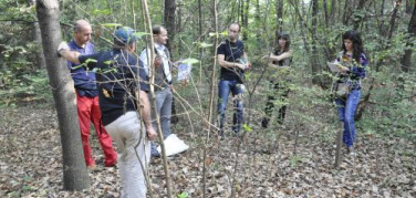 Boscoincittà e Parco Nord: proteggere i boschi urbani per difendere il clima