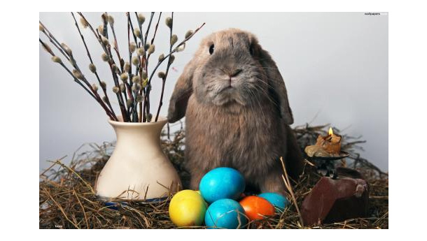 Immagine: Pasqua e Pasquetta: picnic e mostre in città per un weekend di relax, tuo e dell'Ambiente