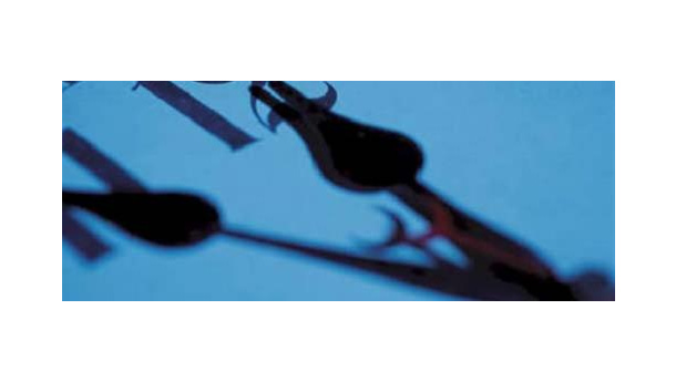 Immagine: Ora legale: in 7 mesi risparmieremo energia elettrica per 90 milioni di euro