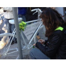 Immagine: Bari, muore ciclista: posizionata la prima 