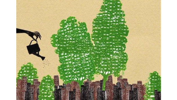 Immagine: Verde urbano, Clini annuncia la composizione del Comitato di Vigilanza