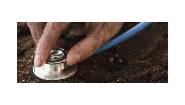 Immagine: Taranto. Riscontrati valori di piombo nel sangue di 9 bambini. Preoccupazione dei pediatri