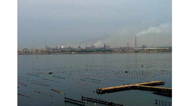 Immagine: Ilva, la legge è costituzionale. Il commento di Monti, Clini, Vendola, Nicastro, Ciafani