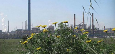 Referendum Ilva. Gli orientamenti per il voto