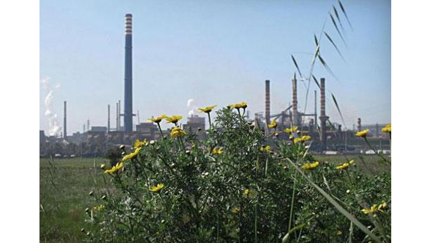 Immagine: Referendum Ilva. Gli orientamenti per il voto