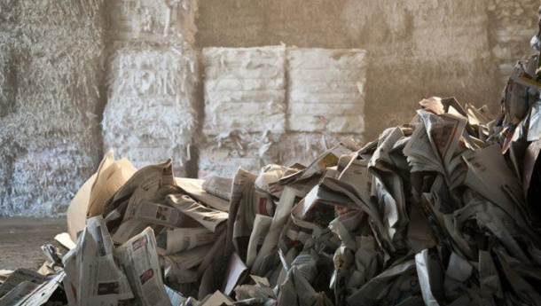 Immagine: Comieco. Efficienza energetica, impatto ambientale e opportunità per il territorio: l’industria cartaria sempre più green