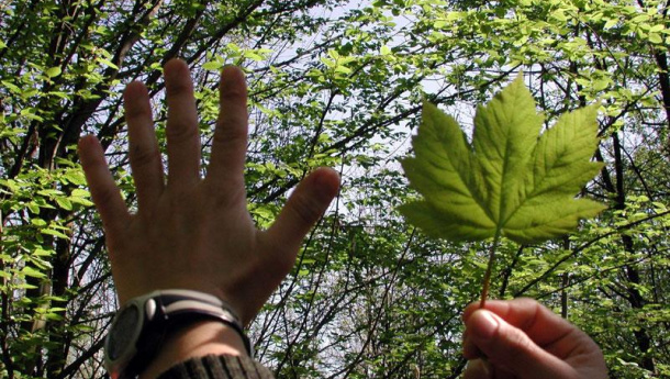 Immagine: Puglia: «29.000 utenti coinvolti dal programma di educazione ambientale In.F.E.A 2011-2012»