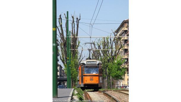 Immagine: Via Mac Mahon, 150 alberi da tagliare per il tram 12