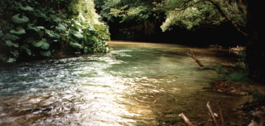 Roma 1° Maggio, Tuttinbici lungo il Tevere