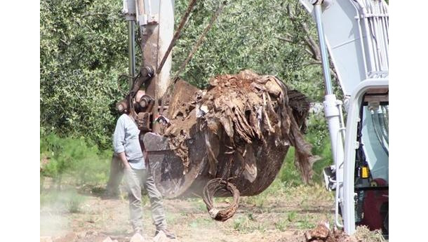 Immagine: Discarica Conversano come «Gomorra». Vendola e Nicastro: «Immagini impressionanti»