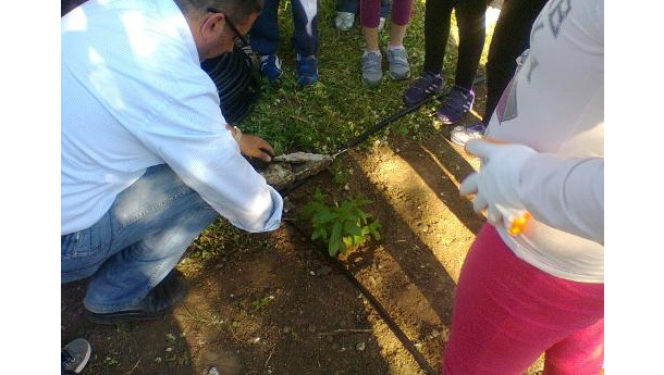 Immagine: Lecce, «una compostiera collettiva» in una scuola. Sarà utilizzata da più 100 alunni