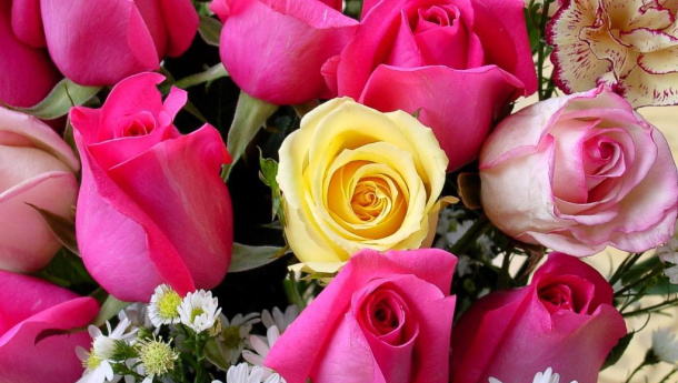 Immagine: Domenica a piedi nel giorno della Festa della Mamma: bufera tra i commercianti