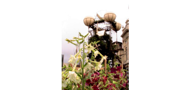 A Torino ci sono gli alieni... e arrivano da Nantes | Galleria fotografica