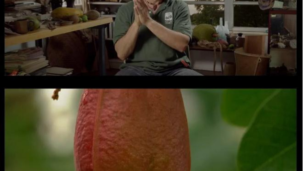 Immagine: Cinemambiente: cacciatori di frutta e Bill Pullman all'inaugurazione di venerdì 31 maggio