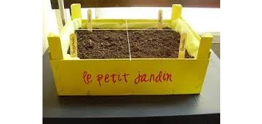 Orti in cassetta Smart City: chi viene a portarseli a casa sabato 1° giugno?