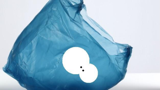 Immagine: Bando dei sacchetti di plastica. Il ministro Orlando sull'opposizione della Gran Bretagna: 