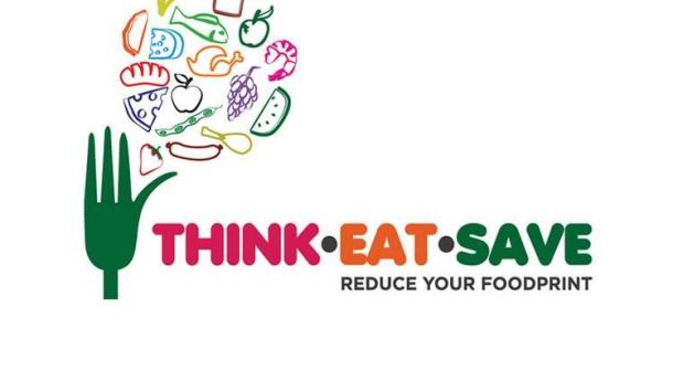 Immagine: E' la Giornata mondiale dell'Ambiente... auguri!