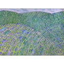 Immagine: Smog, arrivano 20 telecamere ai confini di Milano: sono i progetti Converse e Sistema Integrato Infomobilità