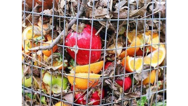 Immagine: Piemonte, un ordine del giorno impegna la Regione contro gli sprechi alimentari