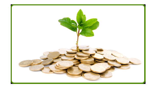 Immagine: Rinnovabili: investimenti in calo nel 2012, è la prima volta in 3 anni