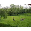 Immagine: Parco Lambro chiuso ai motori: si entra solo più a piedi o in bicicletta!