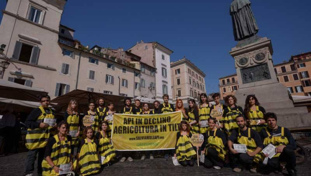 Immagine: Greenpeace: api attiviste a Campo de' Fiori per dire no ai pesticidi killer