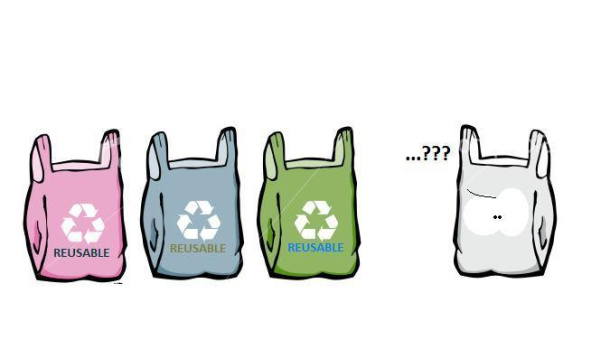 Immagine: Sacchetto o sporta? Dipende dal prezzo. Il caso dell’Irlanda del Nord