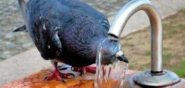 Caldo e afa in Italia: a giugno 2013 crescono (ma non troppo) i consumi elettrici