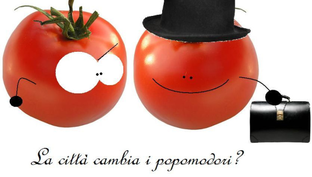 Immagine: Orti urbani e smog: i pomodori di città sono sani?