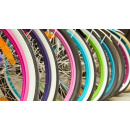 Immagine: A Roma via libera per parcheggiare le bici nei condomini