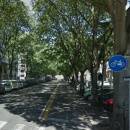 Immagine: Centinaia di persone in strada per 