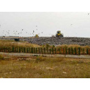 Immagine: Appello alla Regione Puglia. Il comitato RIF: «Chiudete ogni discarica a Conversano»