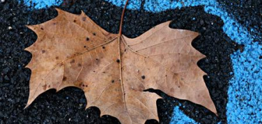 Zone blu a Torino, gara d'appalto per l'estensione del ticket alle zone Ospedali, Lingotto, C.so Francia e C.so Regina