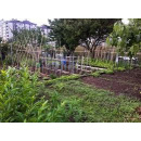 Immagine: Orti urbani: bando pubblico per 66 spazi di 40 mq in Zona 5