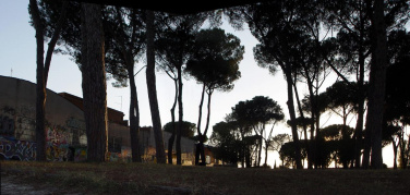 Municipio V: parte la raccolta firme per tutela verde pubblico