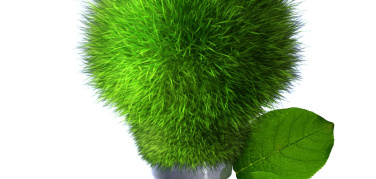 Ministro Orlando, cabina di regia Stato-Regioni per l'economia verde