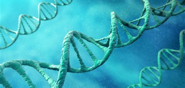 Smog e DNA: ai ricercatori di Milano il Classic Paper of the Year