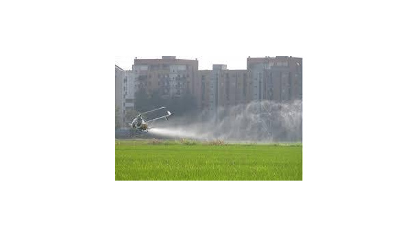 Immagine: Zanzare a Milano, parla l'esperto del Comune