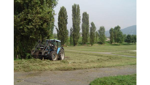 Immagine: “Mulching”, pascoli, fienagione: le pratiche ecocompatibili per risparmiare sullo sfalcio dell'erba | ECOPEDIA