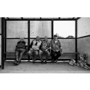 Immagine: Abbonamenti annuali sopra i 65 anni: non c'è una città uguale all'altra... (ECOPEDIA)