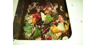 Milano, raccolta differenziata al 44,6% a luglio: nuovo record