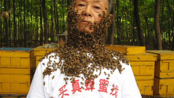 Immagine: Festival della Biodiversità, quest'anno anche tanto cinema