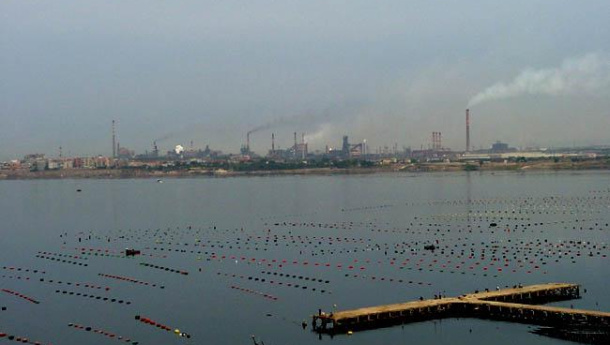 Immagine: Taranto, denuncia Peacelink su dati tumore. Arpa Puglia: «Non è analisi epidemiologica»