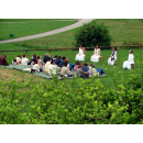 Immagine: Festival al Parco Nord: anche i cittadini possono conoscere la biodiversità